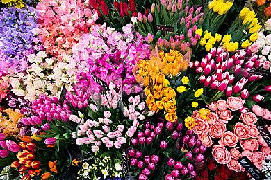 Atlus调查询问玩家是否有意在Xbox玩《女神异闻录》